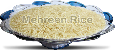 Mehreen Enterprises