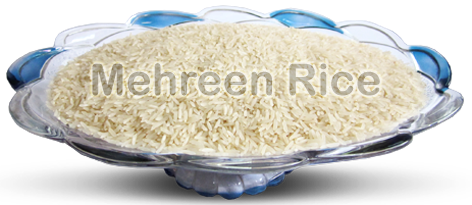 Mehreen Enterprises